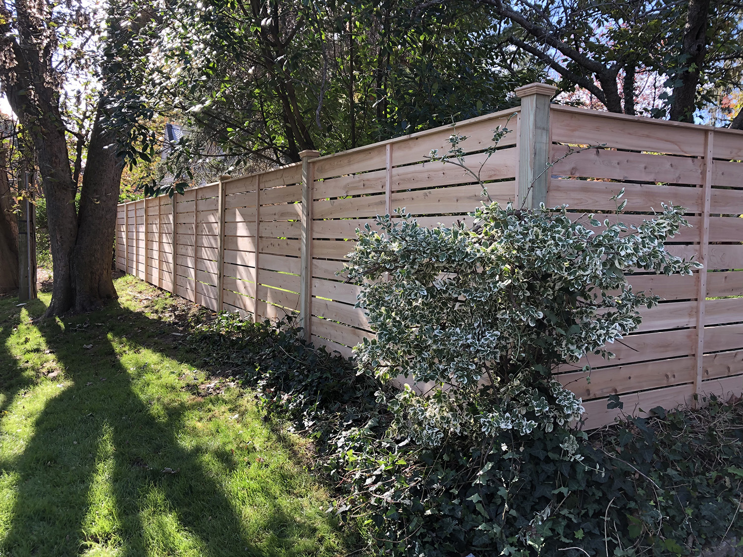 Wooden ranch style fence